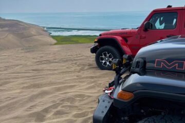 DuneFest Chachalacas