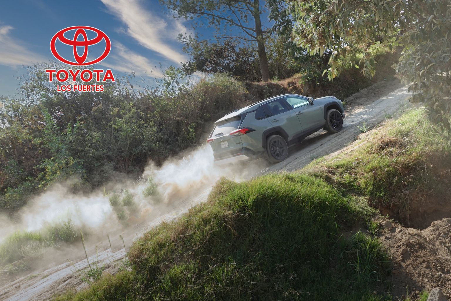 Clínica Toyota Fuertes